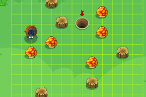 屎殼郎求愛之旅