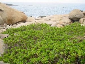 銅鼓嶺自然保護區