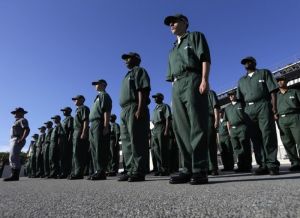 紐約勞役營 紐約勞役營