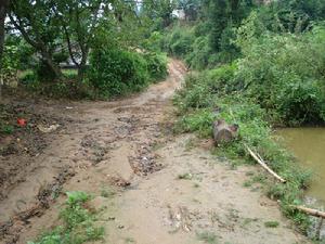 控勇自然村村內道路