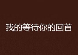 我的等待你的回首 我的等待你的回首