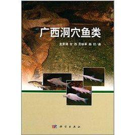 廣西洞穴魚類 廣西洞穴魚類
