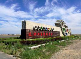 雙台河口國家級自然保護區 雙台河口國家級自然保護區