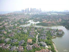 新牌坊社區 新牌坊社區