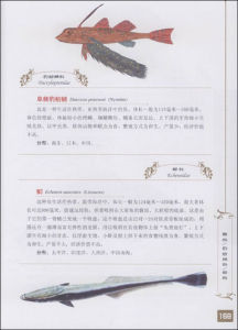 《中國海洋魚類圖譜》