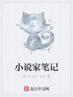 小說家筆記 小說家筆記