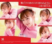 迷之牆和黑色拉布犬事件