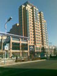 金色地標 金色地標