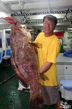 南海釣到的大石斑