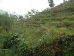 班竹自然村 班竹自然村