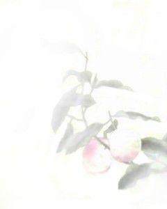 公主大人[網路小說]