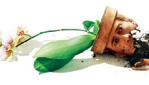 《蘭花賊》 《蘭花賊》