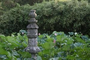 普同塔[上海嘉定普同塔]