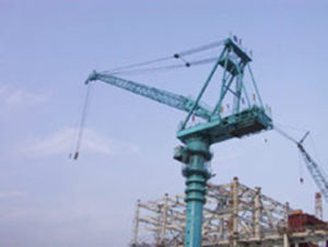 天津藍巢特種吊裝工程有限公司 天津藍巢特種吊裝工程有限公司