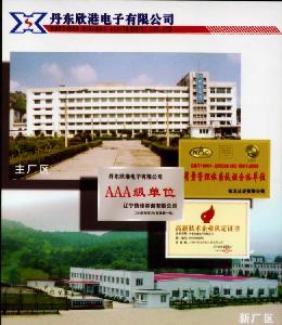 丹東欣港電子有限公司