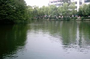 （圖）南充北湖