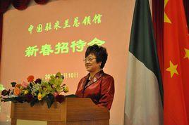 梁慧[中國女外交官]