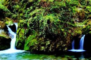 五龍洞國家森林公園