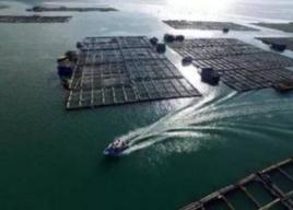 閩外漁場 閩外漁場