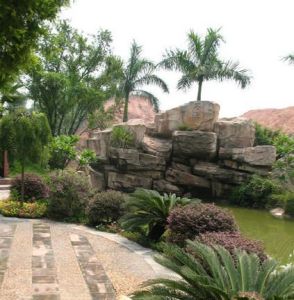 廣東長青高科技農園 廣東長青高科技農園