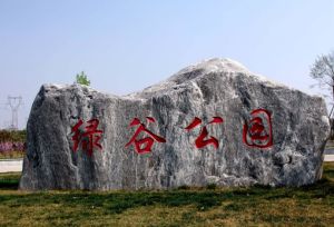 綠谷公園 綠谷公園