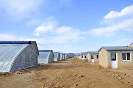 東石河村[北京市延慶縣井莊鎮下轄村]