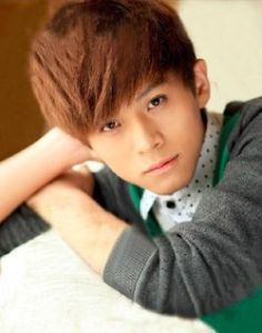 武藝[快樂男生選手]