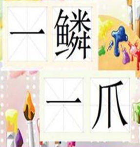 一鱗一爪 一鱗一爪