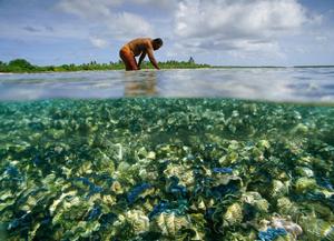 吉里巴斯的菲尼克斯群島保護區