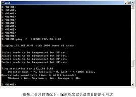 網路命令 網路命令