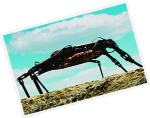 軍用除雷機器人