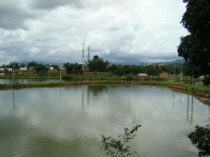 回貢傣村 回貢傣村