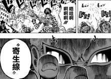 堂吉訶德[日本漫畫《海賊王》中的角色]