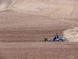 土地關係 土地關係