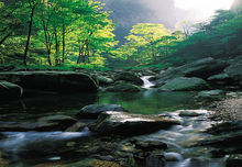 張家界自助游攻略