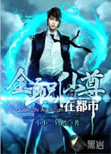 全職仙尊在都市 全職仙尊在都市