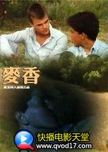 麥香[1986年義大利Gianni Da Campo執導電影]