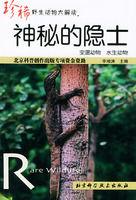 神秘的隱士 神秘的隱士