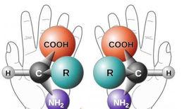 手性分子 手性分子