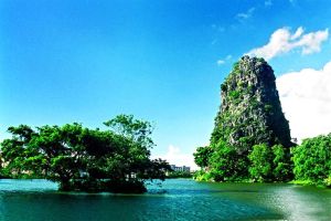 通天蠟燭 通天蠟燭