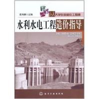 水利水電工程造價指導 水利水電工程造價指導