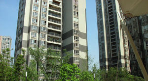 龍頭寺吉安園 龍頭寺吉安園