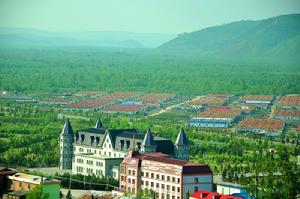 野生藍莓之鄉，北極冰藍莓，野生藍莓酒
