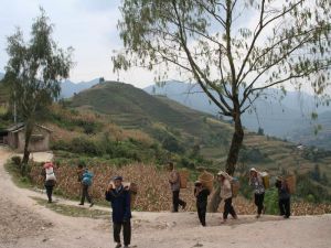 桃樹平掌村 桃樹平掌村