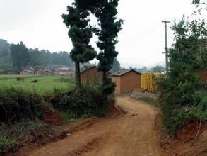 東馬龍疃村 東馬龍疃村