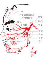 周圍神經病 周圍神經病