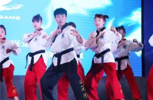 跆拳道舞 跆拳道舞