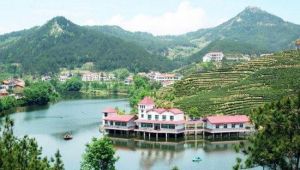 烏雲山茶葉公園 烏雲山茶葉公園