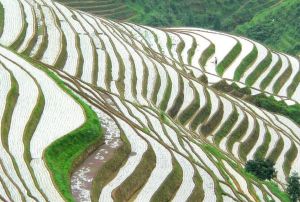 耕地坡度分級 耕地坡度分級