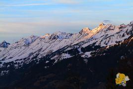 阿爾卑斯造山運動 阿爾卑斯造山運動